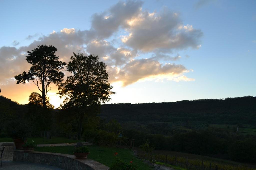 Agriturismo Lapone Orvieto Exterior foto